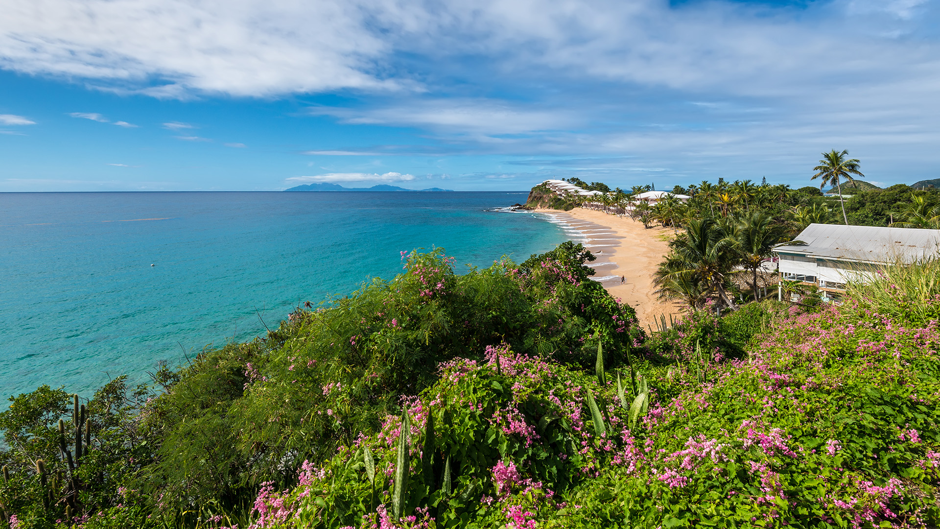Антигуа и Барбуда приостанавливает приём заявлений на гражданство от ...